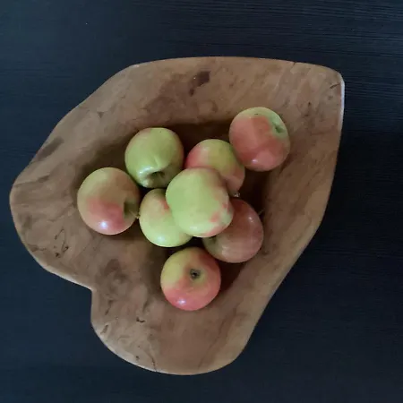 Apartmán Fuer Naturliebhaber
